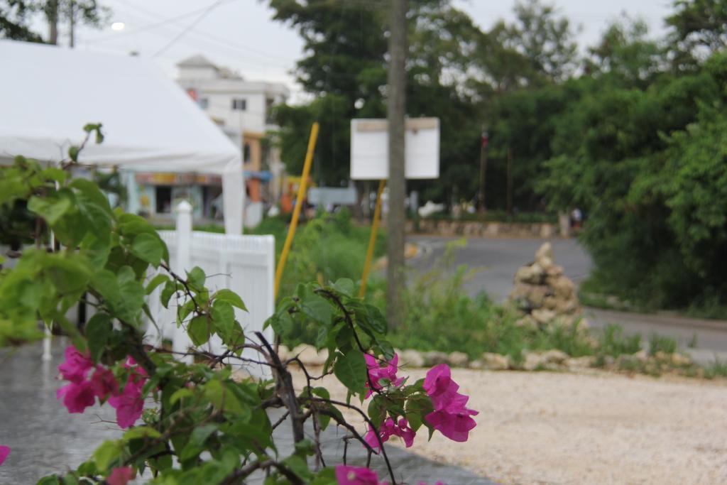 Albergo El Pulpo, บายาฮิเบ ภายนอก รูปภาพ